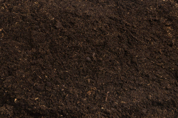 istock Soil for plant isolated on white background. 1363826319