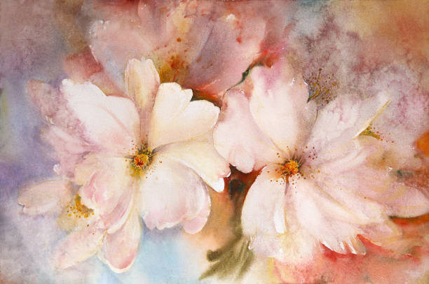 aquarellmalerei von blühenden frühlingsblumen. - flower spring cherry blossom blossom stock-grafiken, -clipart, -cartoons und -symbole