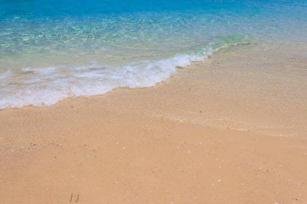 istock Soft wave of ocean on sandy beach 1363829953