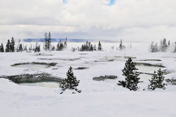 istock Landscape in Yellowstone National Park 1363833513
