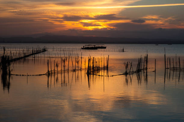 istock Walk through the Albufera of Valencia. 1363835021