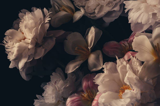 foto in stile barocco del bouquet - flower head close up cut flowers cut out foto e immagini stock