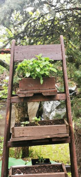 istock Building a house in allotment gardens 1363837778