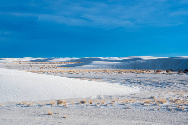 istock White sands national Park 4 1363844776