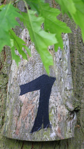 istock Number one painted on an old weathered wooden plank 1363845853