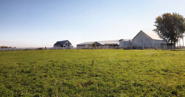 istock Open field with equestrian stables in the background 1363847822