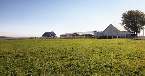 Open field with equestrian stables in the background