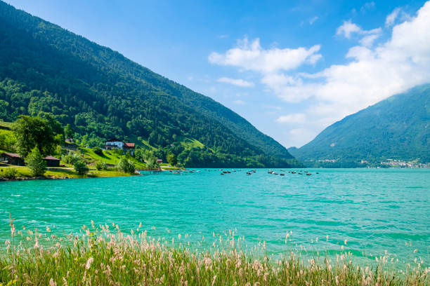 istock Lake Santa Croce (Veneto, Italy) 1363847855