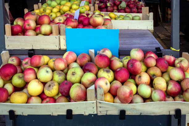 istock Fresh organic apples in crates on market 1363848228