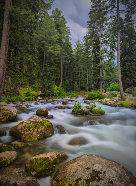 istock Water stream in kashmir's rafiabad 1363848407