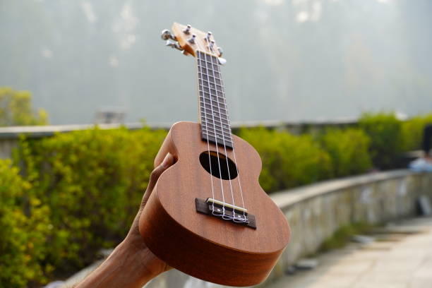 istock Guitar ukulele at outdoor shoot image 1363848446