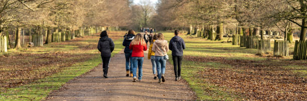 Free Stock Photo of Group of People Walking Through a Forest | Download ...