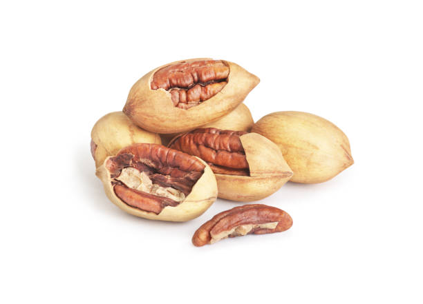 istock a bunch of pecans on a white background 1363859938