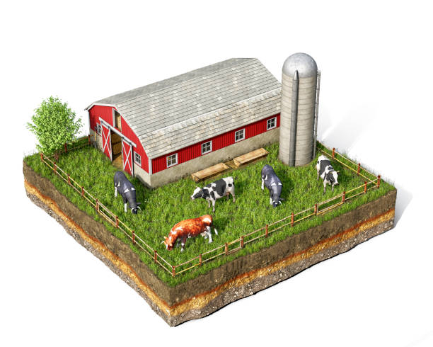 istock Livestock concept, enclosure with cows, barn and elevator on a piece of ground, isolated on white background, 3d illustration 1363860201