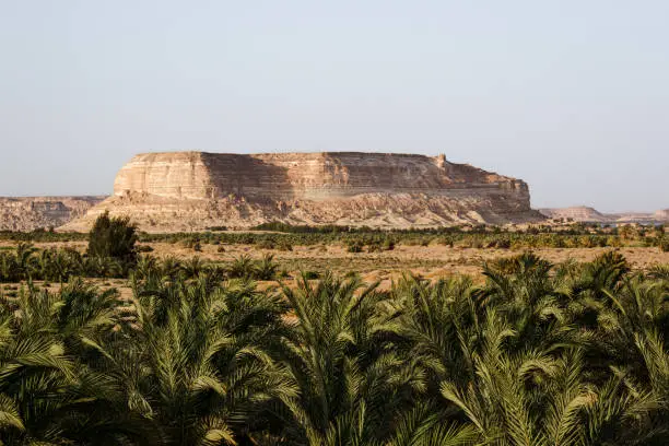 Mountain in the Sahara Desert behind palmtree plantation, in Siwa, Egypt