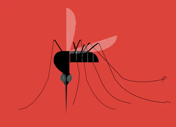 Vector illustration of Mosquito