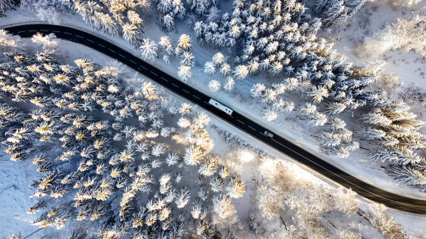 istock Road through the wintery forest 1363864677