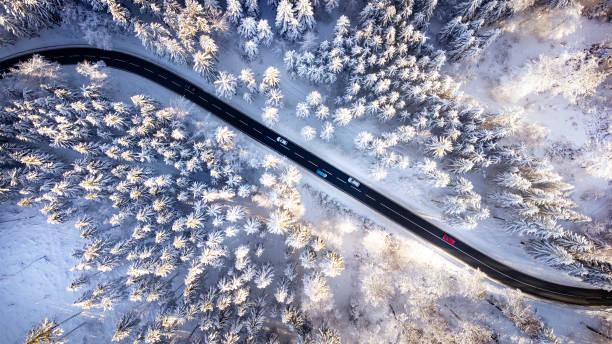 istock Road through the wintery forest 1363864695