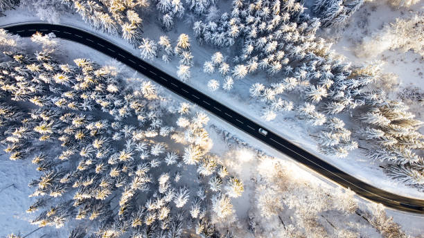 istock Road through the wintery forest 1363864704