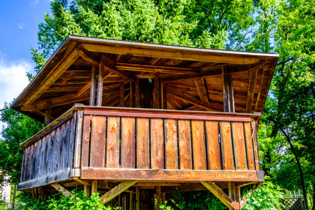 istock wooden lookout tower 1363867685