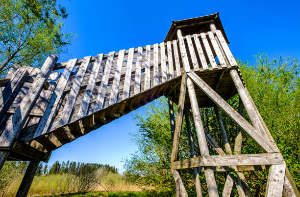 istock wooden lookout tower 1363867706