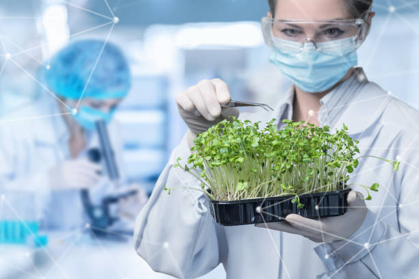 istock Plant research modern biotechnology concept. 1363868706
