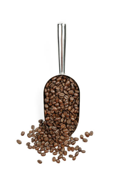 istock coffee beans in a big spoon 1363871231