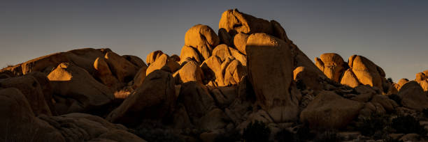 istock Panorama of Morning Light Along The Split Rock Loop Trail In Joshua Tree 1363872462