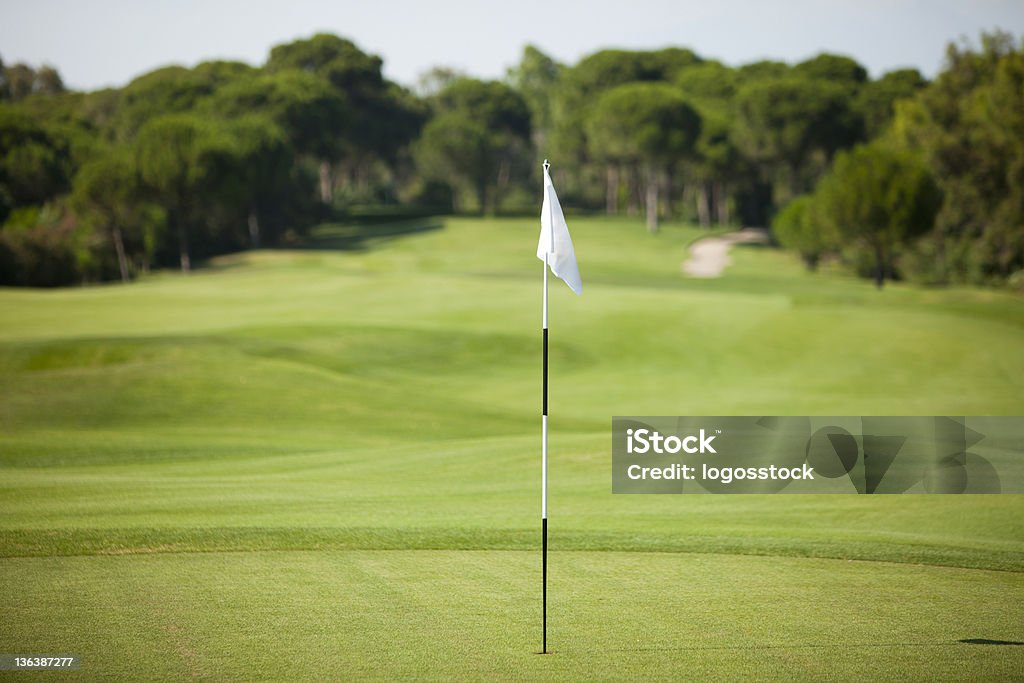 Golf verde - Royalty-free Bandeira Foto de stock