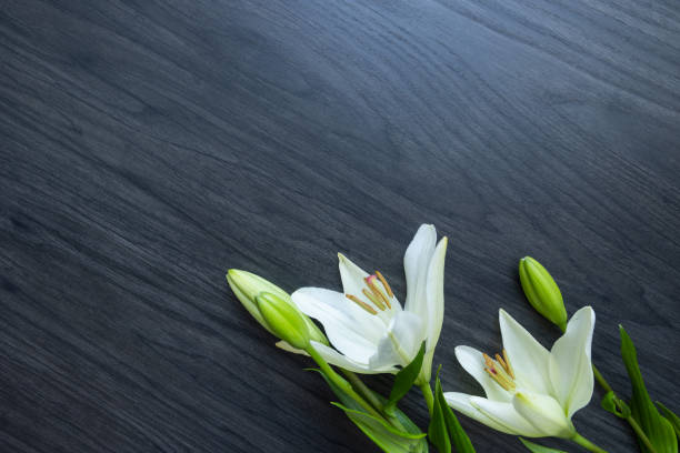 White lilies on wood stock photo