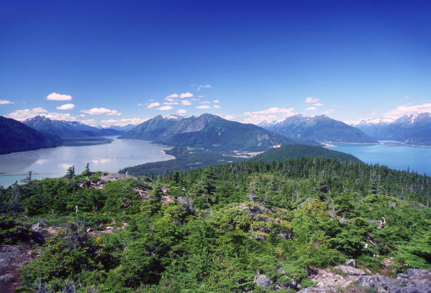 panoramic view atop a mountain on the alaska coast - haines imagens e fotografias de stock