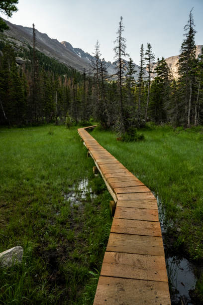 istock Narrow Walkway Over Marsh Near Mills Lake 1363873581