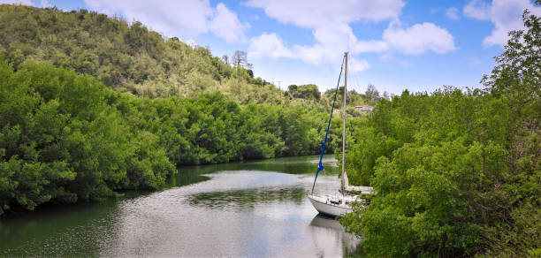 Sheltered Caribbean river with a sailboat at anchor