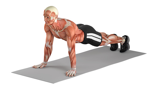 3D illustration of a fit man, doing basic plank exercise. Great to be used in medicine works and health. Isolated on a white background.