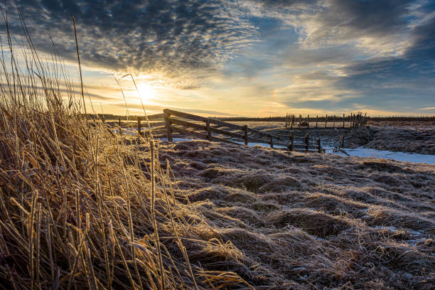 Frost Covered Fence and Grass in Field at Sunrise