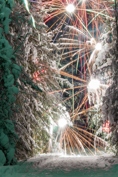 istock Fireworks in the winter forest 1363887833