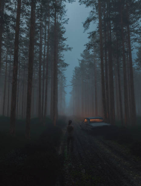 frau, die nachts im gruseligen wald steht - forest dark woods spooky stock-fotos und bilder