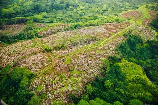High angle view of deforestation in Hawaii