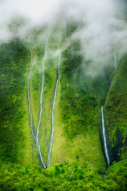 istock High angle view of multiple waterfalls flowing down lush green moutainside 1363889877