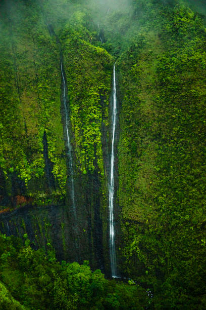 istock Beautiful water falling down vibrant tropical mountainside 1363889892