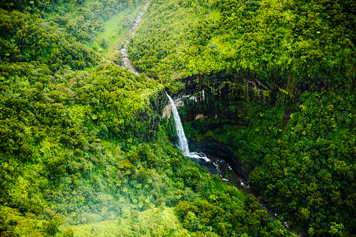 Majestic waterfall flowing into river in tropical rainforest