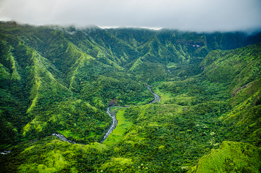 Aerial view from helicopter of river flowing through lush tropical landscape