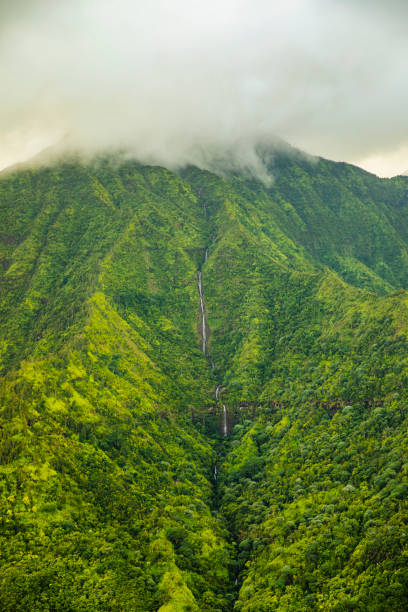 istock Vibrant green tropical mountain peak under storm cloud 1363890028