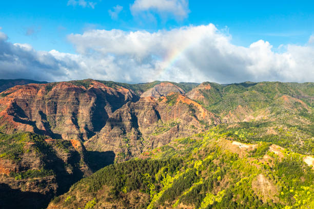 istock Brightly lit Hawaiian terrain in mid day sun 1363891444