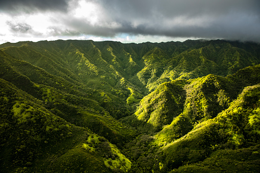 Top down view of lush Hawaiian island foliage and terrain