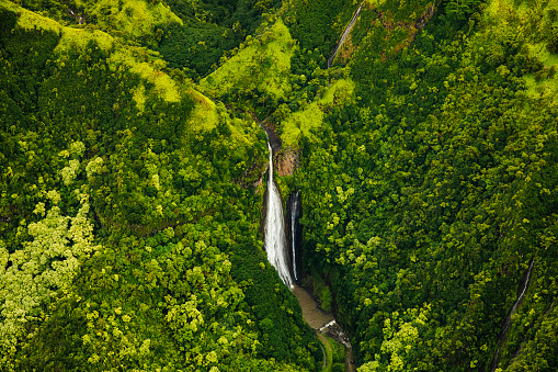 Hawaiian waterfall surrounded by lush green foliage