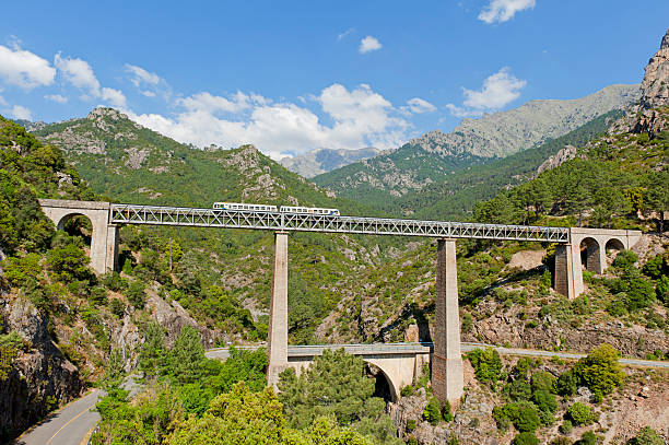 Train driving on large bridge and viaduct Train driving on large railway bridge and viaduct against backdrop of mountains. Vivario, Corsica, France. vivario photos stock pictures, royalty-free photos & images