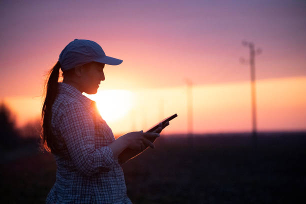istock Electrical Energy at sunset. Engineer with tablet working on the field near Electrical Power station. 1363894307