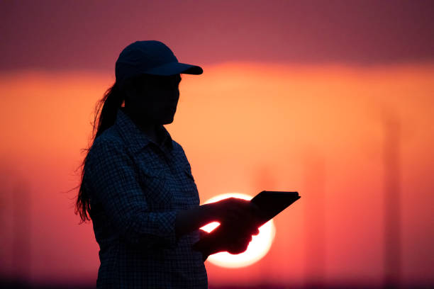 istock Electrical Energy at sunset. Engineer with tablet working on the field near Electrical Power station. 1363894311