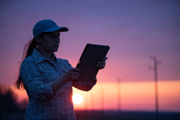 istock Electrical Energy at sunset. Engineer with tablet working on the field near Electrical Power station. 1363894312